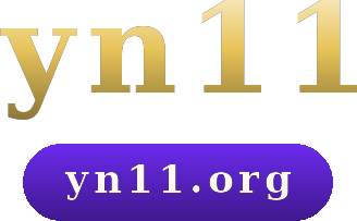 yn11 logo